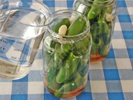 Peynir Dolgulu Jalapeno Biber Turşusu