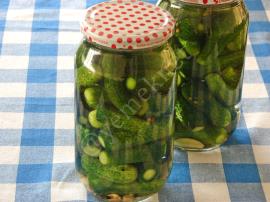 Sirkesiz Limonsuz Kornişon Turşusu