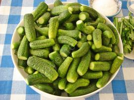 Soğuk Suyla Salatalık Turşusu