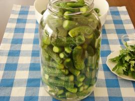 Soğuk Suyla Salatalık Turşusu