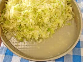 Lakto Fermente Lahana Turşusu