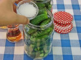 Limon Tuzsuz Kornişon Turşu