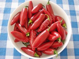 Peynirli Biber Turşusu