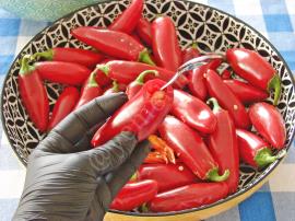 Peynirli Biber Turşusu