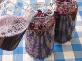 Susuz Mor Lahana Turşusu