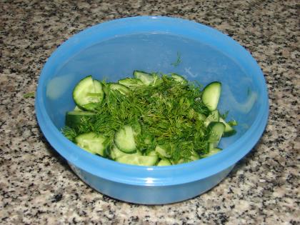 Yoğurtlu Salatalık Salatası