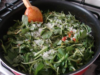 Zeytinyağlı Semizotu