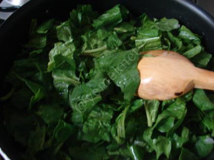 Ispanaklı Tavuk Sarma