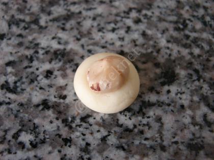 Fındık Dolgulu Misket Kurabiye