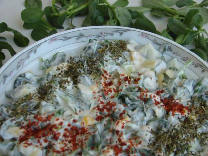 Yoğurtlu Semizotu Salatası