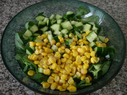 Yoğurtlu Semizotu Salatası