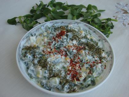 Yoğurtlu Semizotu Salatası