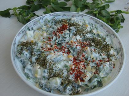 Yoğurtlu Semizotu Salatası