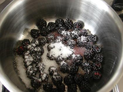 Böğürtlenli Muhallebi