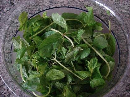 Mint Syrup Recipe