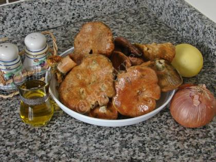 Mantar Kavurma (Kanlıca Mantarı)