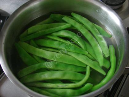 Taze Fasulye Mücveri