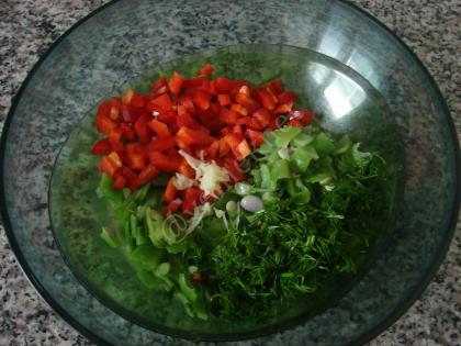 Taze Fasulye Mücveri