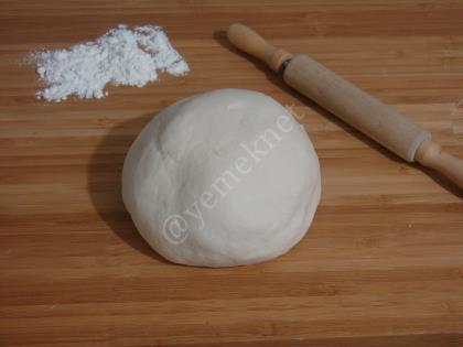 Çıtır Çin Mantısı