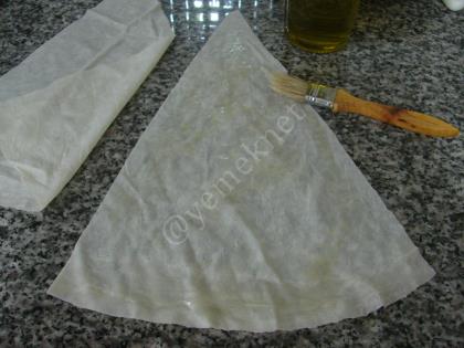 Tavuklu Çin Böreği