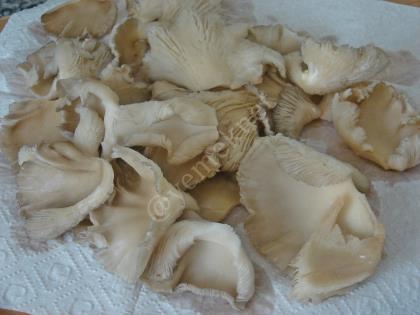 Sauteed Oyster Mushrooms Recipe