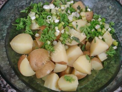 Fresh Potato Salad Recipe