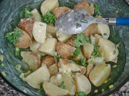 Fresh Potato Salad Recipe