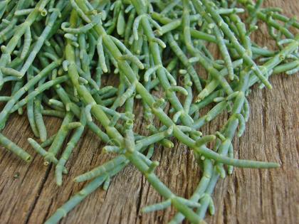 Deniz Börülcesi Nasıl Ayıklanır