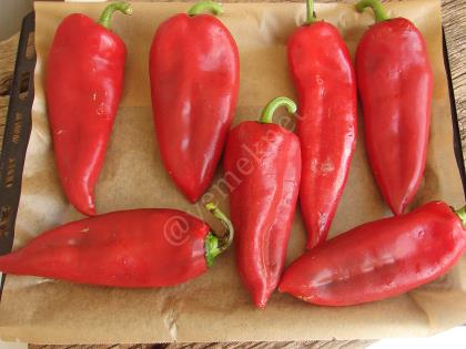 How To Store Roasted Red Pepper In The Freezer