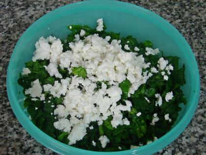 Ispanaklı Kol Böreği