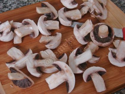 Zeytinyağlı Mantar