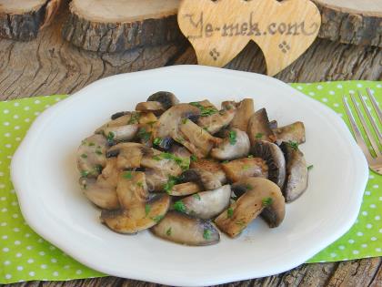 Zeytinyağlı Mantar