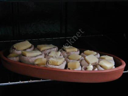 Eski Kaşarlı Mantar Graten