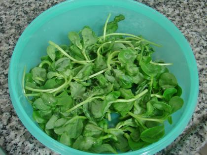 Közlenmiş Kırmızı Biberli Semizotu Salatası