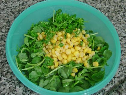 Közlenmiş Kırmızı Biberli Semizotu Salatası