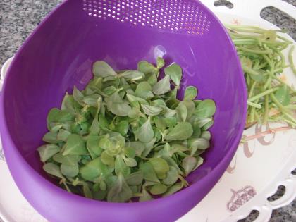 Bulgurlu Semizotu Çorbası