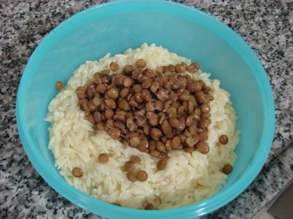 Mercimekli Arpa Şehriye Salatası