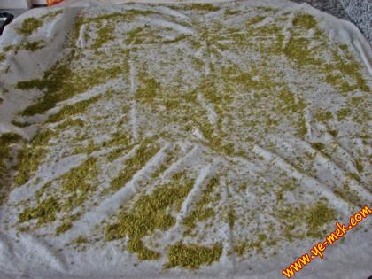 Pistachio Filo Dough Dessert Recipe