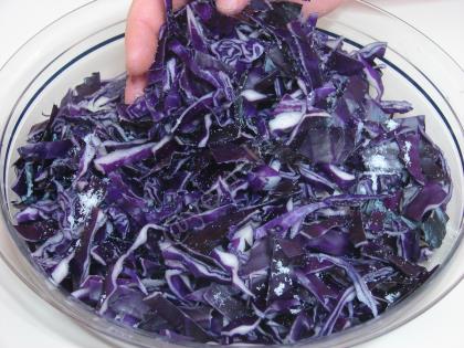 Kırmızı Lahana Turşusu