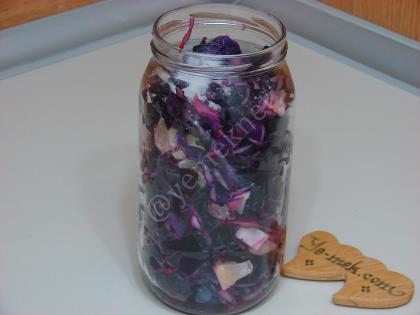 Kırmızı Lahana Turşusu