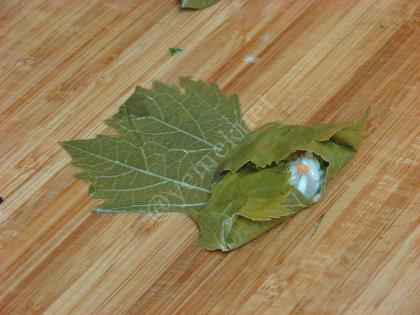 Kırmızı Mercimekli Yaprak Sarması