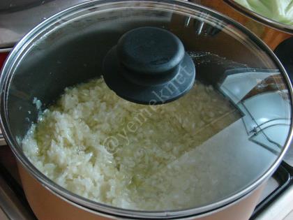 Zeytinyağlı Lahana Sarması