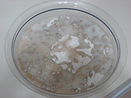 Ev Yapımı Çavdar Ekmeği