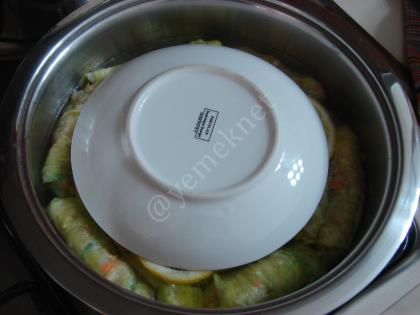 Kırmızı Mercimekli Lahana Dolması