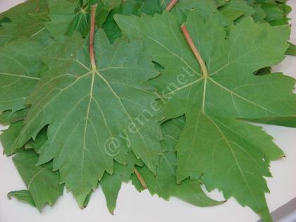 Asma Yaprağı Buzlukta Nasıl Saklanır