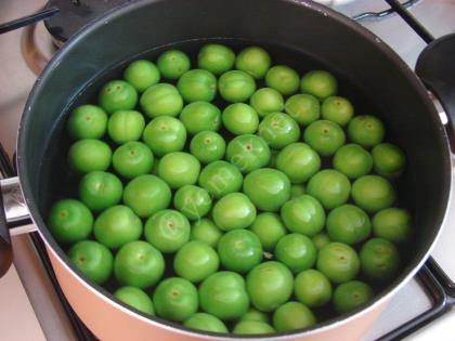 Yeşil Erik Hoşafı