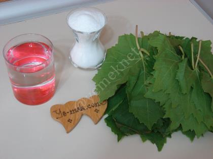 Asma Yaprağı Salamurası