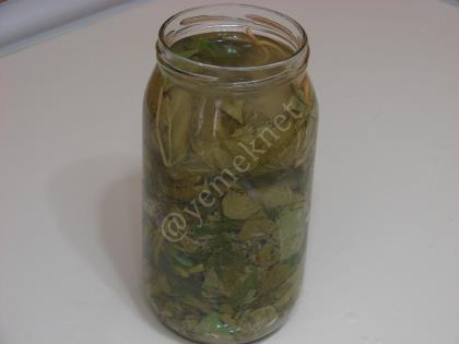 Asma Yaprağı Salamurası