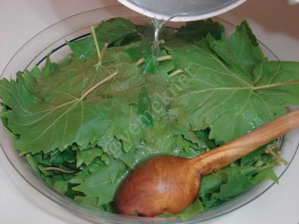 Asma Yaprağı Salamurası