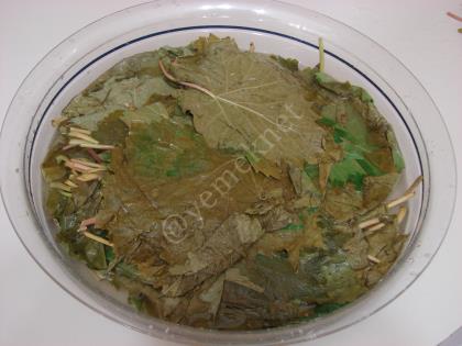 Asma Yaprağı Salamurası